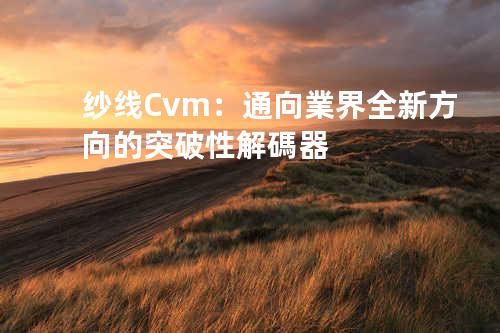 纱线Cvm：通向業界全新方向的突破性解碼器