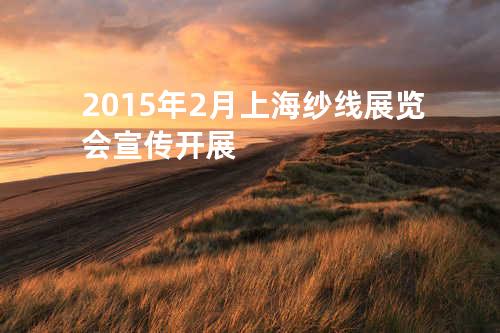 2015年2月上海纱线展览会宣传开展