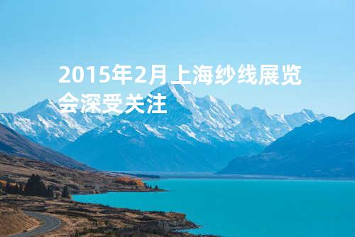 2015年2月上海纱线展览会深受关注
