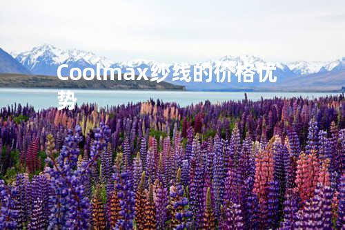 Coolmax纱线的价格优势